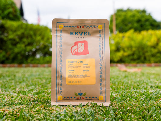 Guatemala - Stuarto Coto - Washed Pacamara