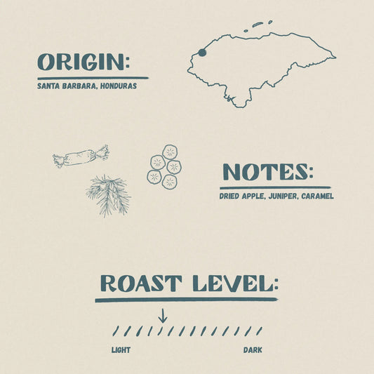 Honduras - Misael Ochoa - Honey Parainema