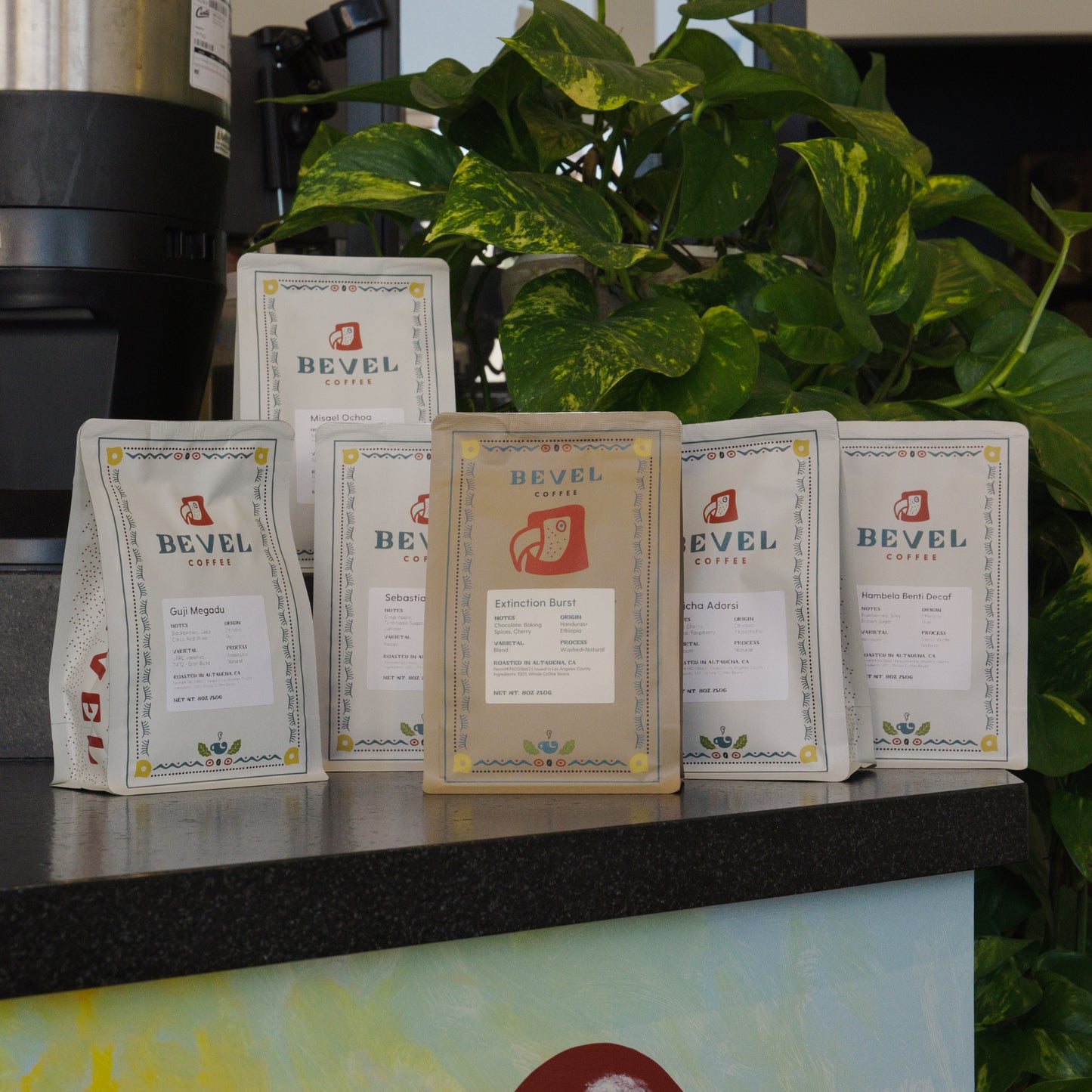 Roaster's Choice 3-Month Single Origin Coffee Subscription